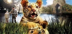 фильмы семейные про тигров