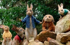 фильмы семейные про зайцев