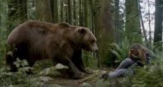 фильмы триллеры про медведей