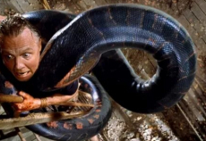 фильмы ужасов про гигантских змей