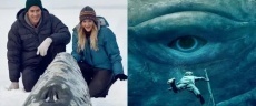 фильмы ужасов про китов