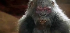 фильмы ужасов про обезьян