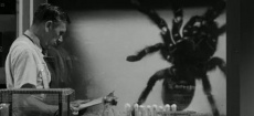 фильмы ужасов про тарантулов