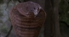 фильмы ужасов про змей