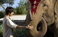 индийские фильмы про слонов
