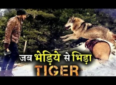 индийские фильмы про волков