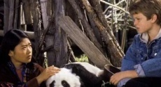 китайские фильмы про панд