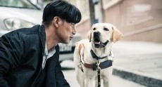 китайские фильмы про собак
