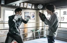 корейские  про бокс