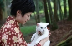корейские фильмы про котов и кошек