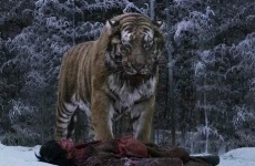 корейские фильмы про тигров