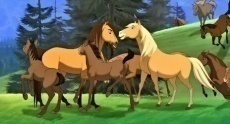 мультфильмы про лошадей