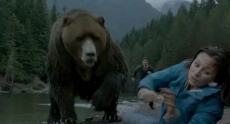 сериалы про медведей