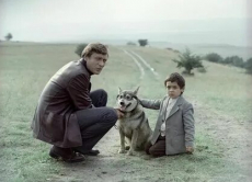 советские фильмы про собак