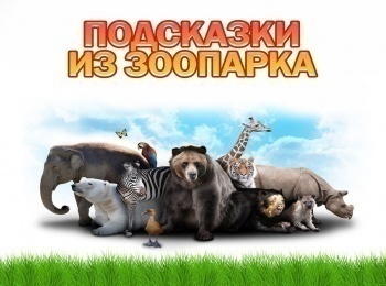 Подсказки-из-зоопарка-20-серия