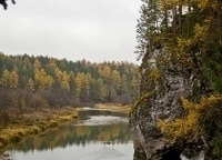 программа Russian Travel Guide (RTG): Природный парк Вепсский лес