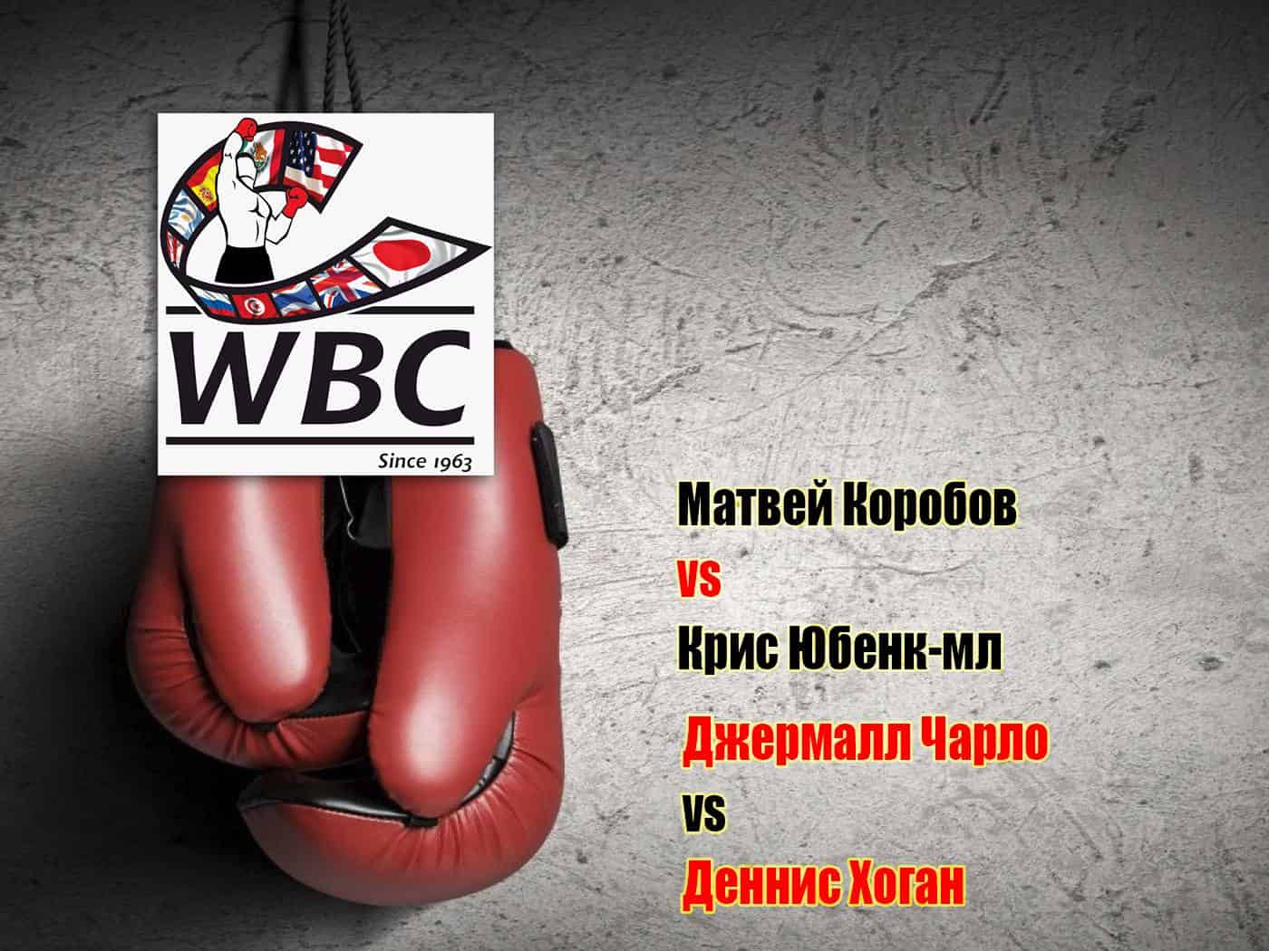 Профессиональный-бокс-Матвей-Коробов-Крис-Юбенк-мл-Джермалл-Чарло-Деннис-Хоган-Бой-за-титул-чемпиона-мира-по-версии-WBC-в-среднем-весе