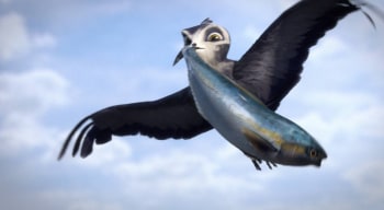 программа Disney: Птичий дозор