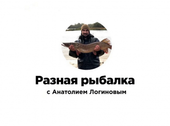 Разная-рыбалка-Судак