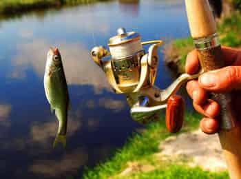 Рыбалка-для-начинающих-Спиннинг