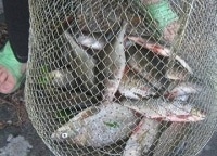 Рыбалка-на-острове-Кильпола