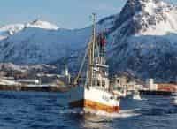 программа Охота: Рыболовные экспедиции в Норвегию 6 серия