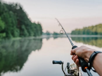программа Охотник и рыболов: Рыболовный мир Максима Воропай На краснодарском пруду Часть 1