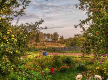 программа Загородная жизнь: Сад и огород Удобрения для роз