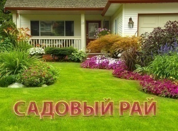 Садовый-рай-Питомник-туй