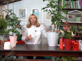 программа Усадьба: Секреты садоводства с Мариной Рыкалиной 1 серия