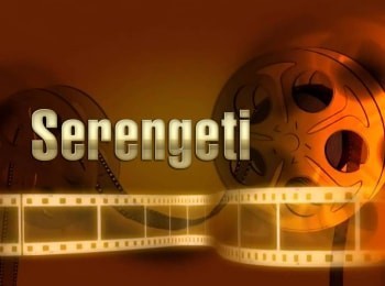 Серенгети-Обновление