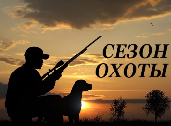 программа Охота: Сезон охоты Зимняя охота на кабана с вышки в Московской области