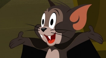 программа Cartoon Network: Шоу Тома и Джерри Черный кот