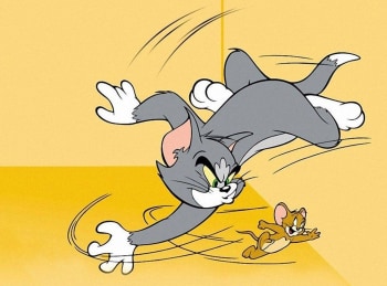 Шоу-Тома-и-Джерри-Грязная-крыса--Как-улучшить-котоповедение--Кот-на-подмену