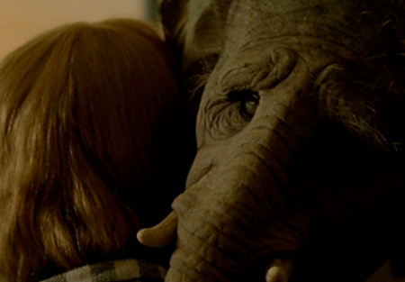 кадр из фильма Слон