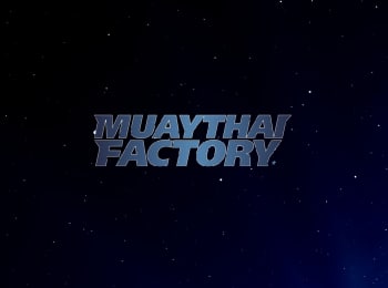 программа МАТЧ! Боец: Тайский бокс Muay Thai Factory Финалы Трансляция из Кемерова