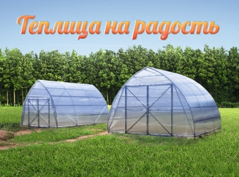 программа Загородная жизнь: Теплица на радость Как правильно подвязать помидоры в теплице