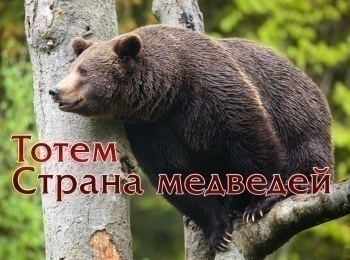 программа БелРос: Тотем Страна медведей