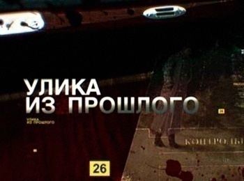 программа Звезда: Улика из прошлого Дело об исчезнувших останках Тайна саркофага Ярослава Мудрого