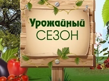программа Загородная жизнь: Урожайный сезон Эпизод 26 й Многолетние цветочные культуры