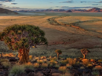программа Русский Экстрим: В дикой природе Намибии