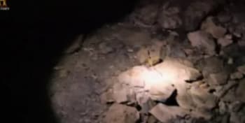 программа History2: В поисках исчезнувших великанов В пещере костей