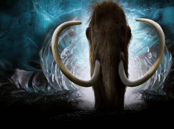 программа National Geographic: В поисках затерянных зверей Тайны гигантских мамонтов