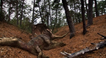 Войны-Юрского-периода-Динозавр-каннибал