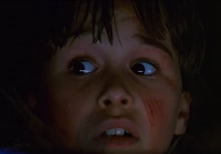 Элли Корнелл и фильм Хэллоуин 5: Месть Майкла Майерса (1989)