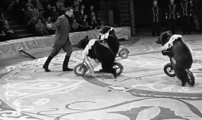 ХХ-век-Медвежий-цирк-1963--Новоселье-Олега-Попова-1960