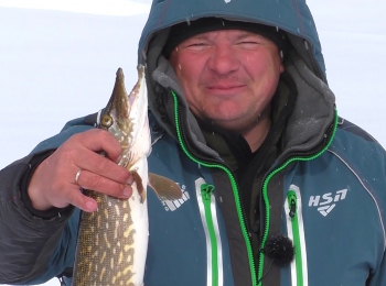 программа Охотник и рыболов: За трофеем на край света Щука на поплавок