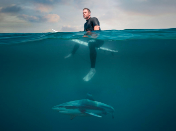 программа Морской: Жить в мире с акулами