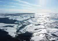 Живая-Арктика-Северный-Ледовитый-океан-Царство-холода