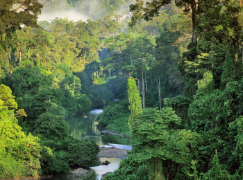 программа Загородная жизнь: Жизнь в джунглях Малайзия 10 серия